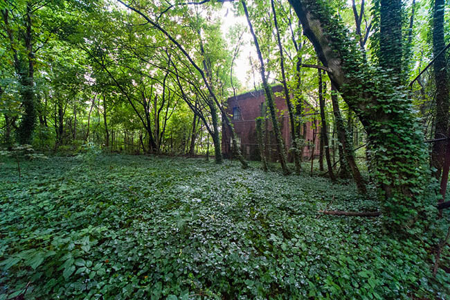 Hòn đảo đáng sợ nhất New York, nơi không ai được phép đặt chân tới - 1