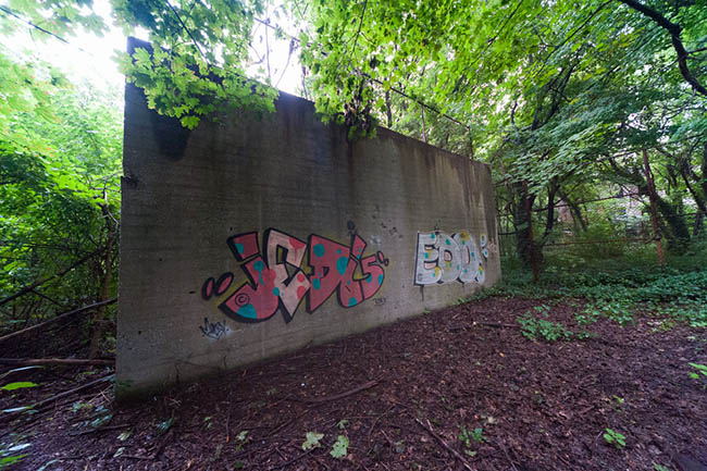 Hòn đảo đáng sợ nhất New York, nơi không ai được phép đặt chân tới - 9