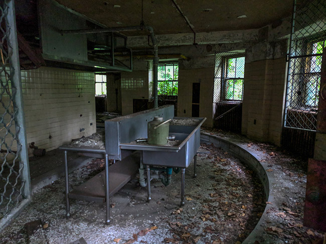 Hòn đảo đáng sợ nhất New York, nơi không ai được phép đặt chân tới - 5