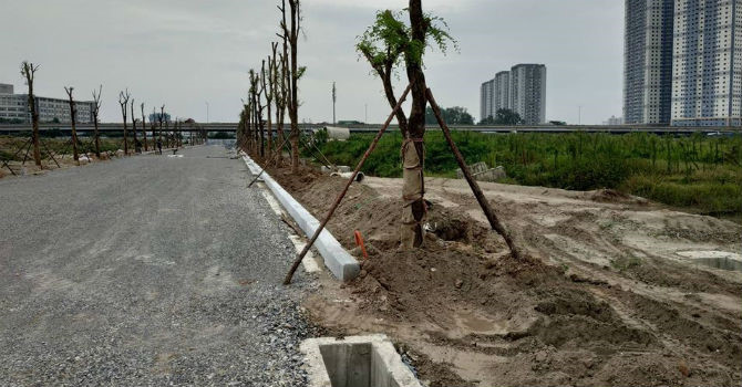 Đổi 3,6 km đường lấy 90 ha đất: 4 năm vẫn không thấy đường đâu - 2