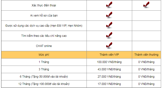 Hái ra tiền từ dịch vụ dành cho người ế tại Viêt Nam - 1