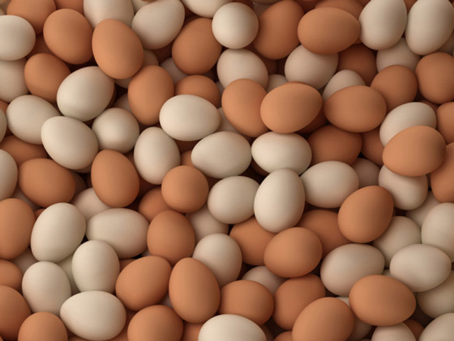 Giá trứng vịt, gà &#34;ăn&#34; theo giá heo tăng kỉ lục, người nuôi lãi đậm - 2