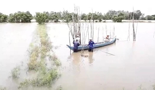 Miền Tây bắt đầu chống chọi với nước lũ từ sự cố vỡ đập ở Lào - 2