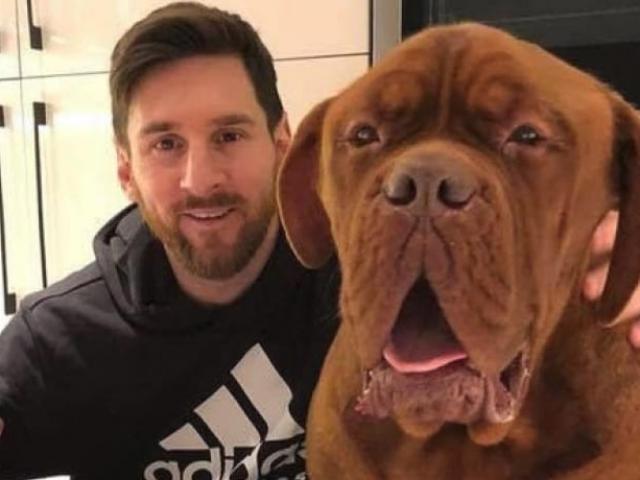 Bóng đá - Messi trở lại hội quân Barca: Quên sầu World Cup, chờ đoạt Siêu cúp