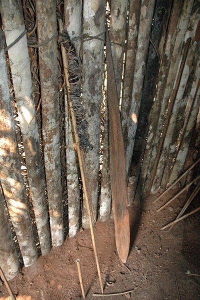 Bên trong thế giới đơn độc của người sống sót duy nhất bộ lạc Amazon - 3