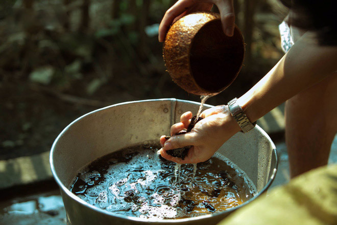 Giải mã 4 công dụng độc đáo ít ai biết của bồ kết với mái tóc bạn - 3