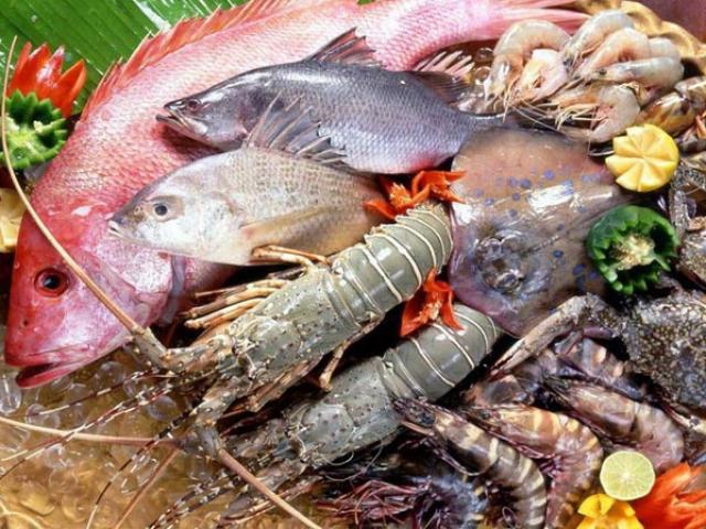 Không chỉ bạch tuộc, cá và mực cũng được "tái sinh" bằng hóa chất