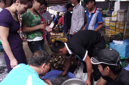 Không mua hải sản ở Hạ Long, khách du lịch bị hắt nước, đẩy ngã bong gân tay - 1