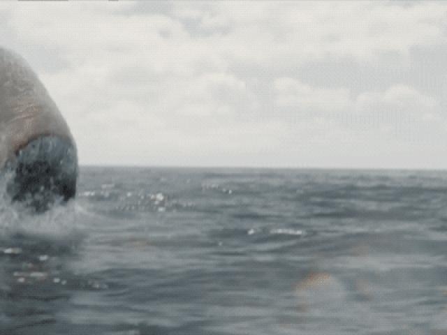 Phim - Siêu cá mập uy hiếp Jason Statham có gì khác biệt về những hung thần đại dương?