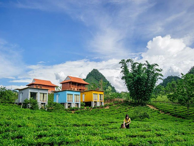 Khó tin: Chỉ với 850k bạn có thể vi vu du lịch Mộc Châu 2 ngày 1 đêm - 6