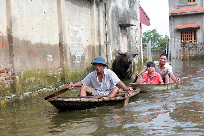 Người dân Chương Mỹ cười tươi, kéo xe, chèo thuyền đi nhận hàng cứu trợ - 1