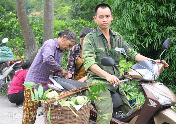 Na đầu mùa quả to, mắt đẹp, cả nông dân, thương lái đều mê tít - 5