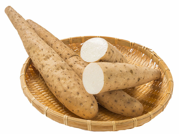 Vị thuốc quý cho u xơ - giúp dân văn phòng “thoát án cắt tử cung” chỉ sau 3 tháng - 2