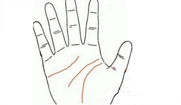 Lòng bàn tay xuất hiện 3 dấu hiệu này, hôn nhân đến muộn nhưng lâu bền - 2