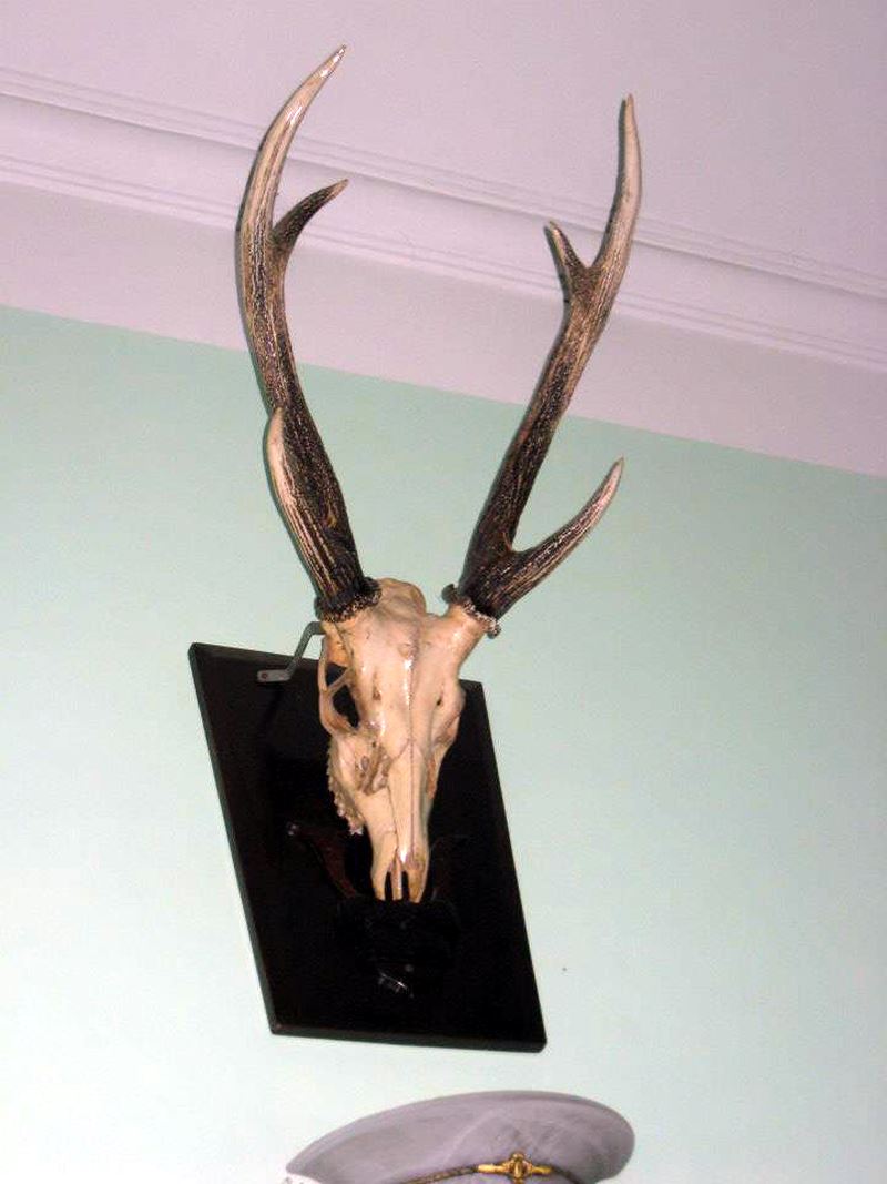 Quá khứ không ngờ của Vân Dung, Chiến Thắng, Quang Thắng trước khi thành đại gia - 6