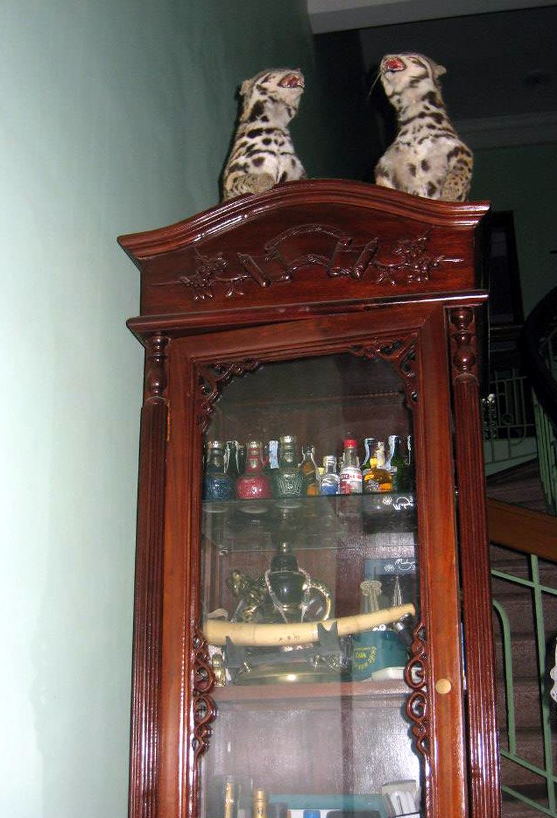 Quá khứ không ngờ của Vân Dung, Chiến Thắng, Quang Thắng trước khi thành đại gia - 5