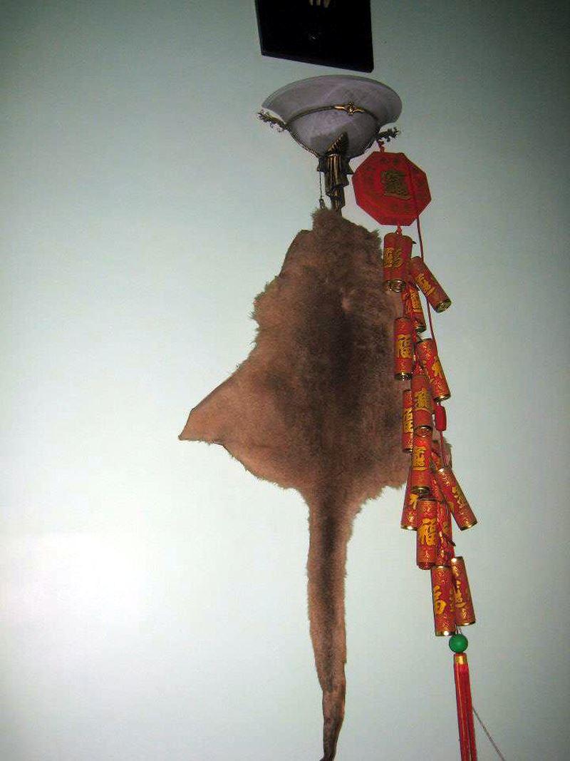 Quá khứ không ngờ của Vân Dung, Chiến Thắng, Quang Thắng trước khi thành đại gia - 7