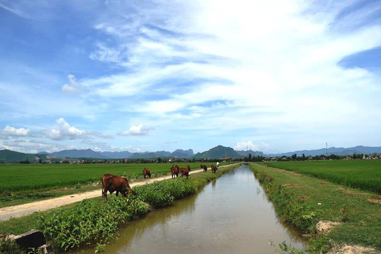 Nhiều khoản phí "lạ" ở Quảng Bình: Trâu, bò, vịt, máy cày,… ra đồng phải đóng phí - 2