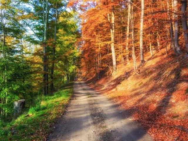 Du lịch - Những bức ảnh “thật mà như giả” khiến du khách phải trầm trồ kinh ngạc