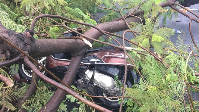 TP.HCM: Tấm biển khổng lồ từ “trên trời” rơi xuống, hai người thương vong - 4