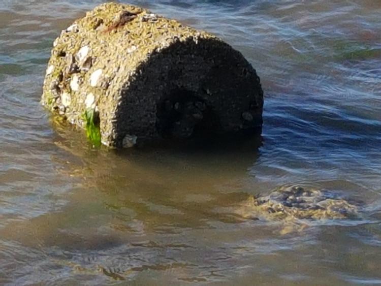 Anh: Đi bắt cua, không ngờ phát hiện bom nặng 4 tấn từ 75 năm trước - 3