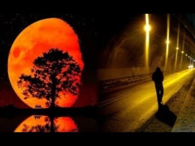 Muốn yên ổn qua tháng cô hồn, tuyệt đối kiêng những điều này! - 5