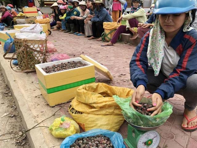 Thị trường - Tiêu dùng - Quảng Ngãi: No con mắt ở "chợ" sim rừng vùng cao