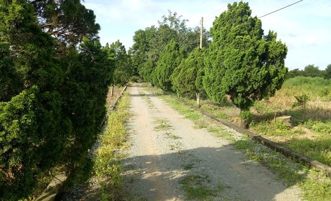 Khu biệt thự và hàng chục ha đất khiến cựu Bí thư vào nhà giam - 2