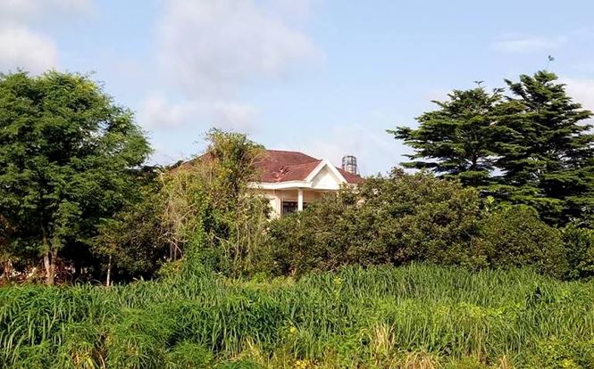 Khu biệt thự và hàng chục ha đất khiến cựu Bí thư vào nhà giam - 4