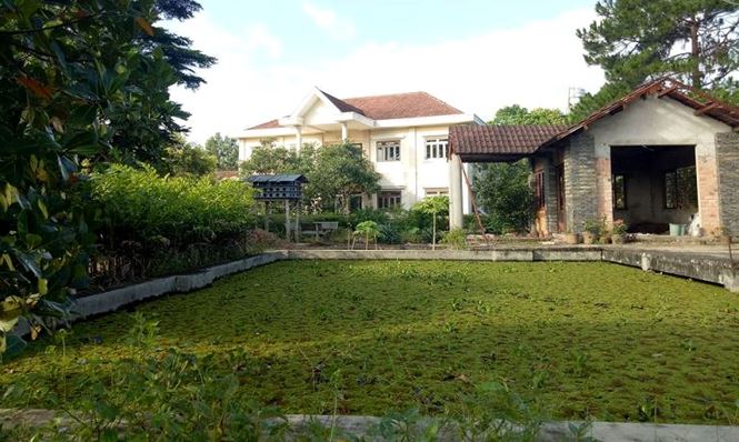 Khu biệt thự và hàng chục ha đất khiến cựu Bí thư vào nhà giam - 5