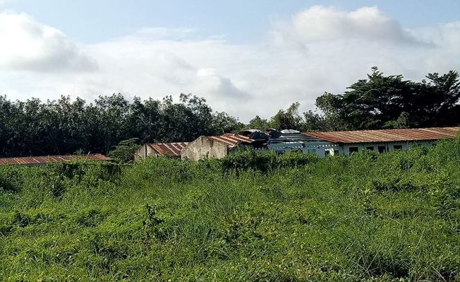 Khu biệt thự và hàng chục ha đất khiến cựu Bí thư vào nhà giam - 7