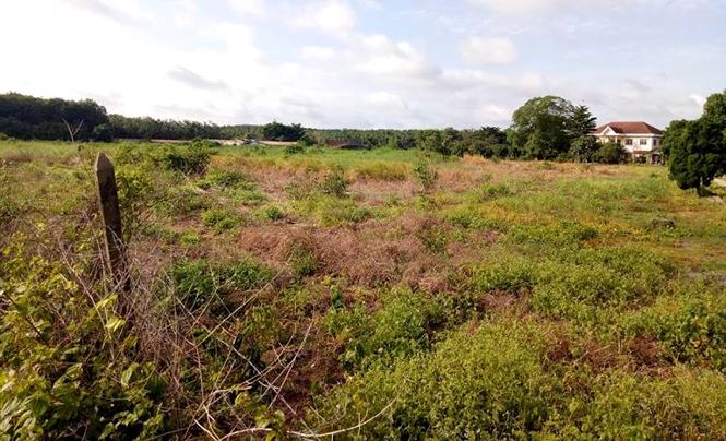 Khu biệt thự và hàng chục ha đất khiến cựu Bí thư vào nhà giam - 8