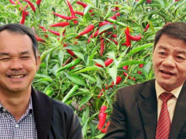 Tài chính - Bất động sản - Sau “hôn nhân nghìn tỷ" với tỷ phú Trần Bá Dương, Bầu Đức “thay máu” loạt lãnh đạo cấp cao?