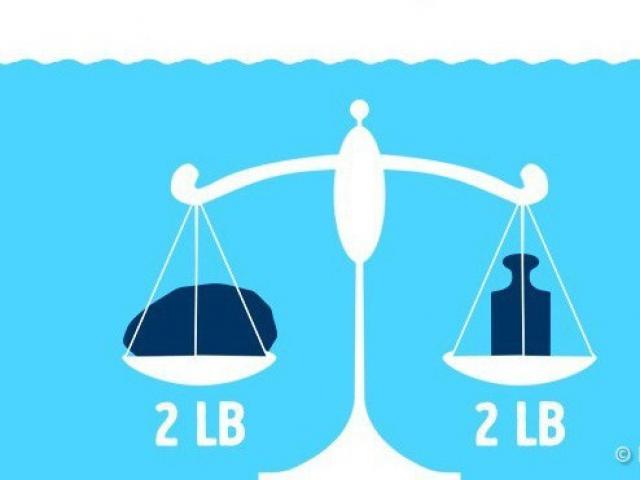 Giáo dục - du học - Đây là 6 câu đố khiến nhiều người trả lời sai nhất hôm nay