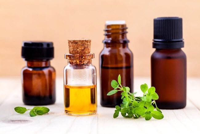 15 cách diệt côn trùng tự nhiên vừa rẻ vừa hiệu quả - 2