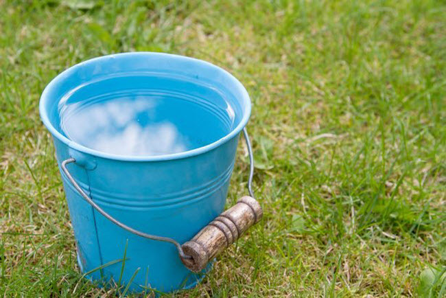 15 cách diệt côn trùng tự nhiên vừa rẻ vừa hiệu quả - 10