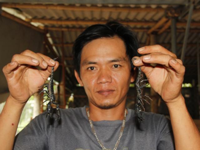 Thị trường - Tiêu dùng - 8x nuôi "loài chết sớm", lãi 30 triệu/tháng