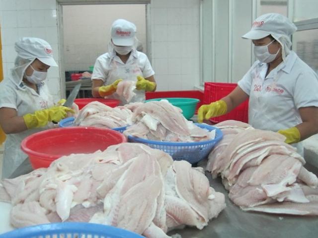 Thị trường - Tiêu dùng - Con cá tra Việt lại bị chơi xấu, bôi nhọ ở nước ngoài