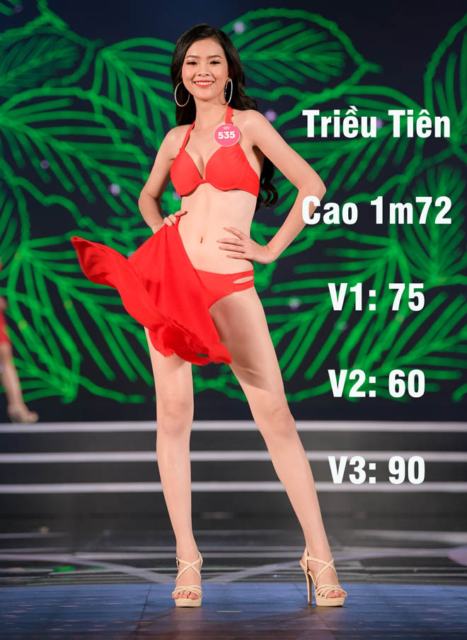 Loạt người đẹp Hoa hậu VN có vòng 1 khiêm tốn nhất - 3