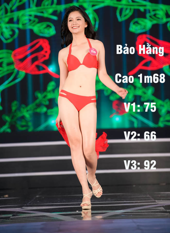 Loạt người đẹp Hoa hậu VN có vòng 1 khiêm tốn nhất - 2