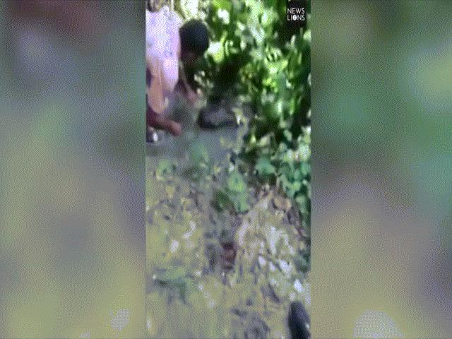 Thế giới - Ấn Độ: Cả gan sờ đầu cá sấu khổng lồ và tích tắc "tử thần"