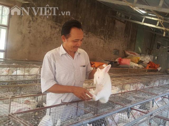 Thị trường - Tiêu dùng - Nuôi 2.000 "cục bông" di động, lãi 20 triệu/tháng