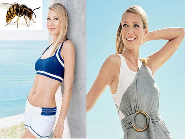 Làm đẹp - Kiểu làm đẹp "kinh dị" của bồ cũ Brad Pitt