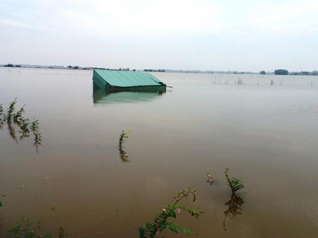 Tin tức trong ngày - Dân đầu nguồn khẩn trương tìm cách “né” lũ lớn