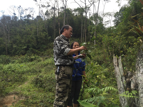 Thực hư bài thuốc của Bác sĩ người dân tộc Mán giúp hàng nghìn người thoát viêm đại tràng - 2