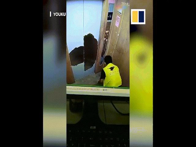 Media - Đi giao hàng, shipper "xử lý" gọn thức ăn của khách