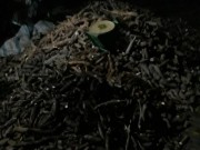 Tin tức trong ngày - Công an nói gì về vụ tử vong sau khi làm việc với đoàn kiểm tra?