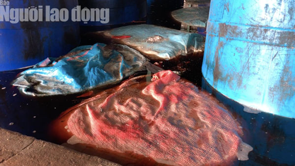 Cận cảnh cơ sở ớt ngâm với muối có lẫn côn trùng ở Sài Gòn - 8