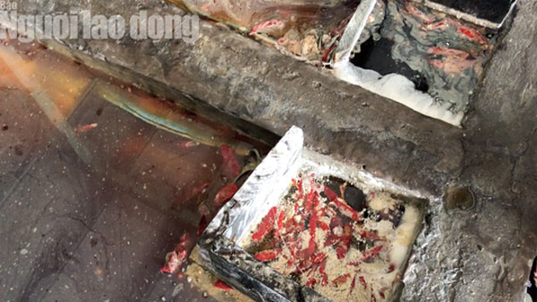 Cận cảnh cơ sở ớt ngâm với muối có lẫn côn trùng ở Sài Gòn - 9