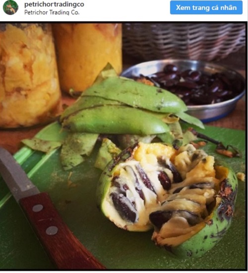 Loại quả "đánh lừa" thị giác "ngon không tưởng" nhưng chưa bao giờ được thương mại hóa - 2